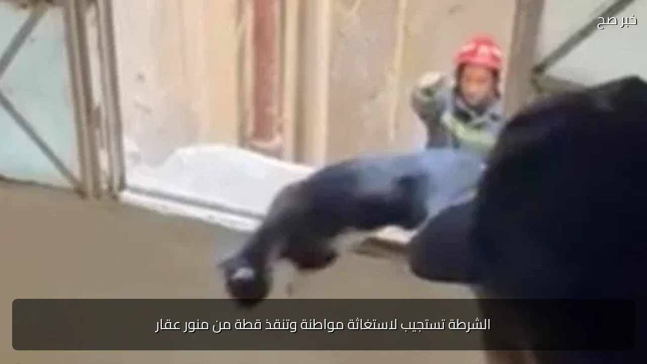 الشرطة تستجيب لاستغاثة مواطنة وتنقذ قطة من منور عقار