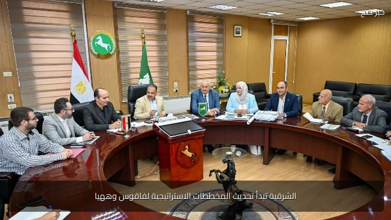 الشرقية تبدأ تحديث المخططات الاستراتيجية لفاقوس وههيا