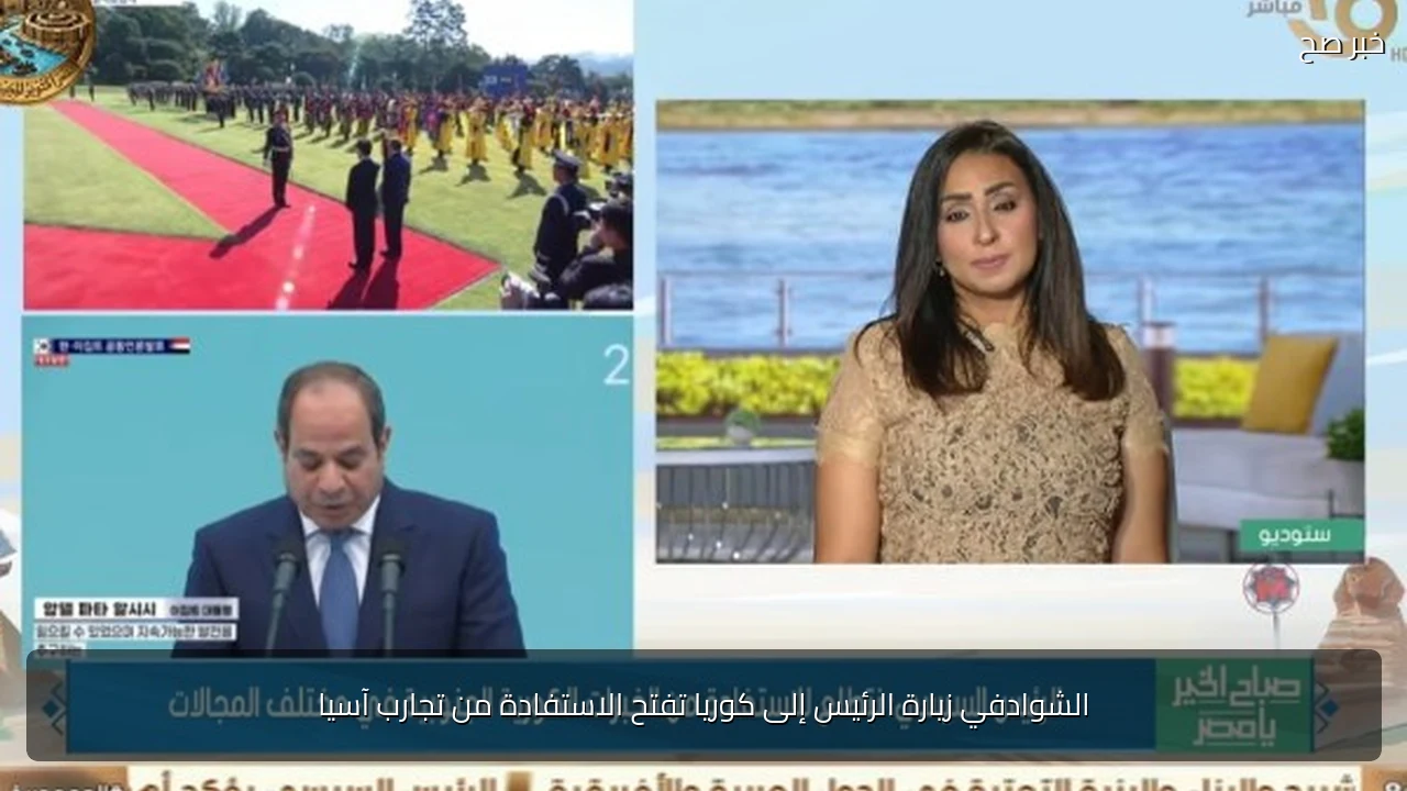الشوادفي زيارة الرئيس إلى كوريا تفتح الاستفادة من تجارب آسيا