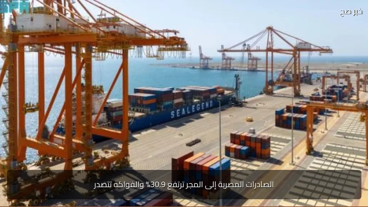 الصادرات المصرية إلى المجر ترتفع 30.9% والفواكه تتصدر
