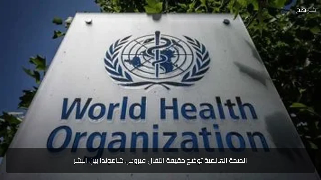 الصحة العالمية توضح حقيقة انتقال فيروس شاموندا بين البشر