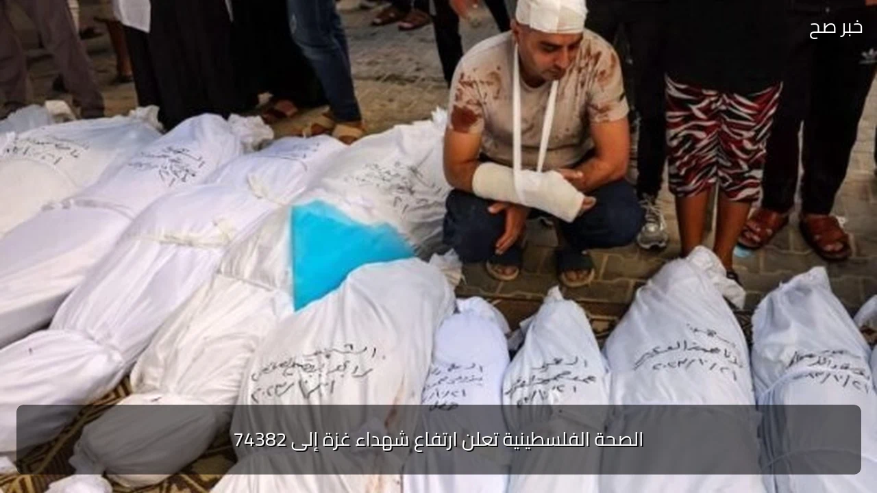 الصحة الفلسطينية تعلن ارتفاع شهداء غزة إلى 74382