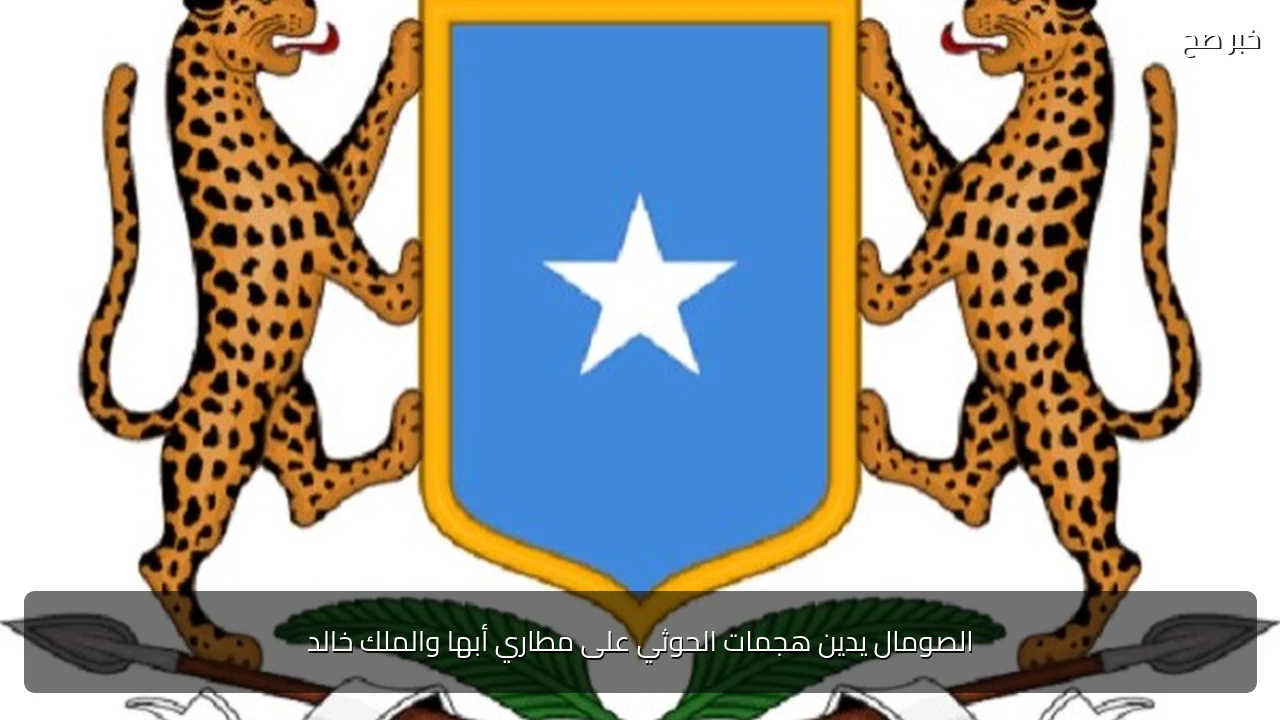 الصومال يدين هجمات الحوثي على مطاري أبها والملك خالد