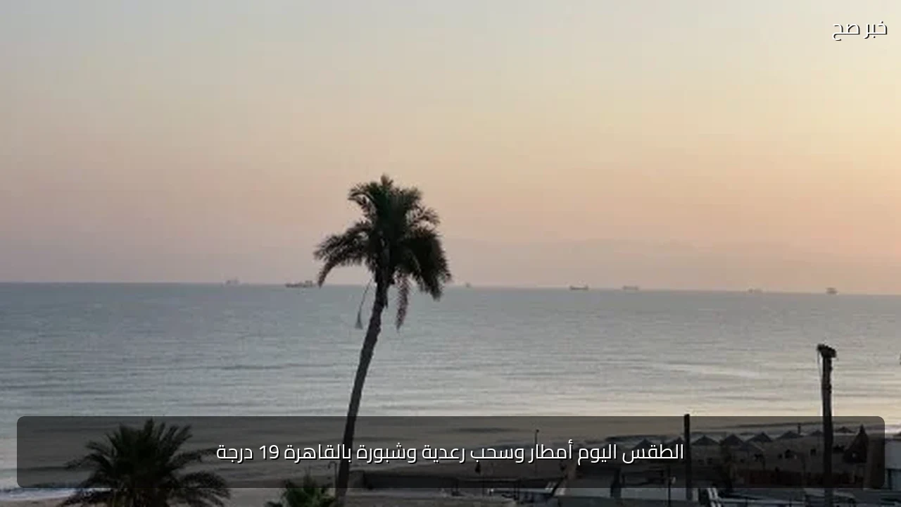 الطقس اليوم أمطار وسحب رعدية وشبورة بالقاهرة 19 درجة