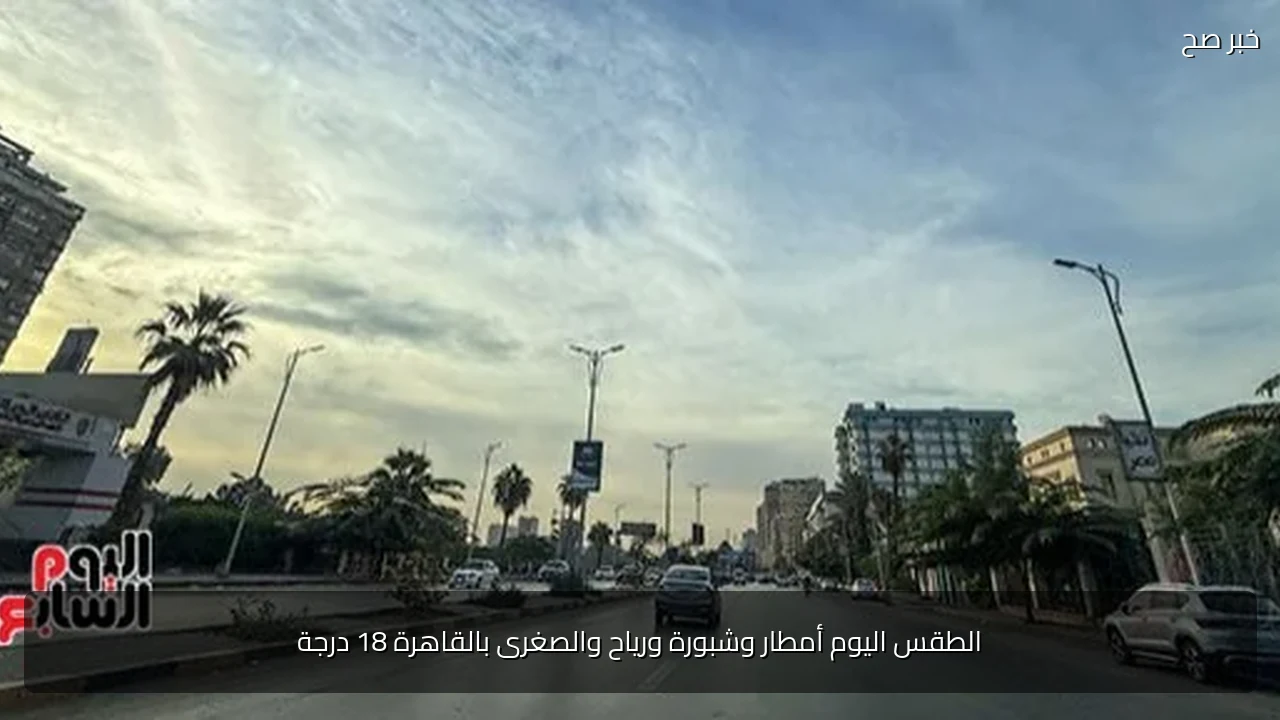 الطقس اليوم أمطار وشبورة ورياح والصغرى بالقاهرة 18 درجة