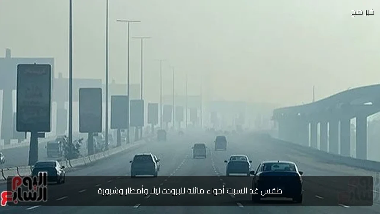 طقس غد السبت أجواء مائلة للبرودة ليلًا وأمطار وشبورة