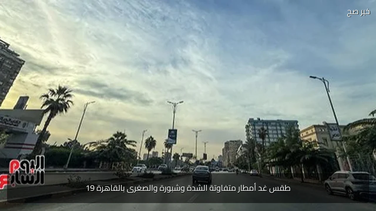 طقس غد أمطار متفاوتة الشدة وشبورة والصغرى بالقاهرة 19