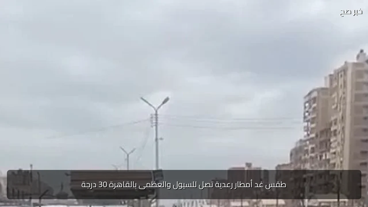 طقس غد أمطار رعدية تصل للسيول والعظمى بالقاهرة 30 درجة