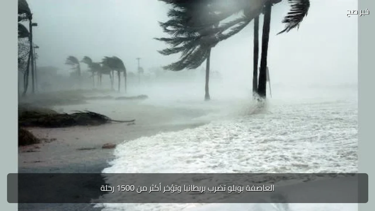 العاصفة بويلو تضرب بريطانيا وتؤخر أكثر من 1500 رحلة