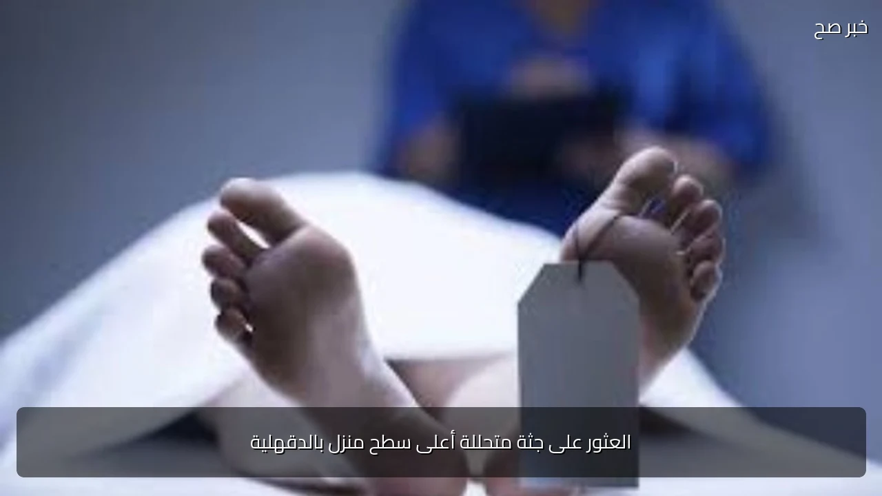 العثور على جثة متحللة أعلى سطح منزل بالدقهلية