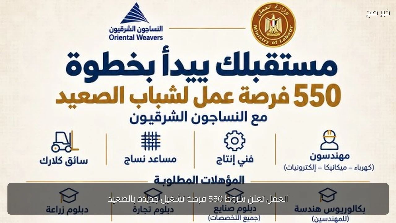 العمل تعلن شروط 550 فرصة تشغيل جديدة بالصعيد