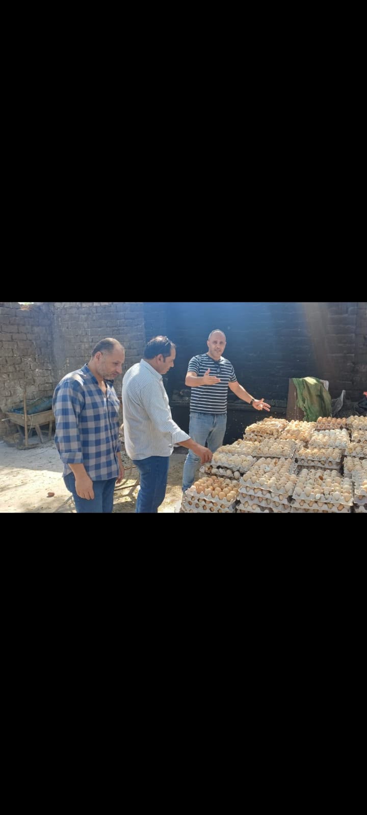 الغربية تضبط 105 آلاف بيضة فاسدة بمزرعتين غير مرخصتين الغربية تضبط 105 آلاف بيضة فاسدة بمزرعتين غير مرخصتين