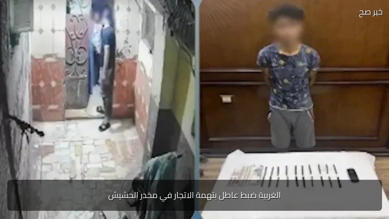 الغربية ضبط عاطل بتهمة الاتجار في مخدر الحشيش