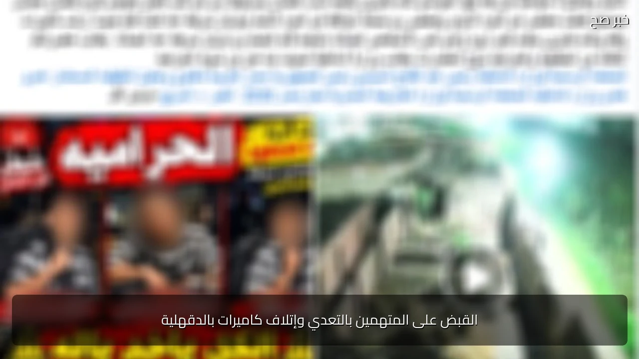 القبض على المتهمين بالتعدي وإتلاف كاميرات بالدقهلية