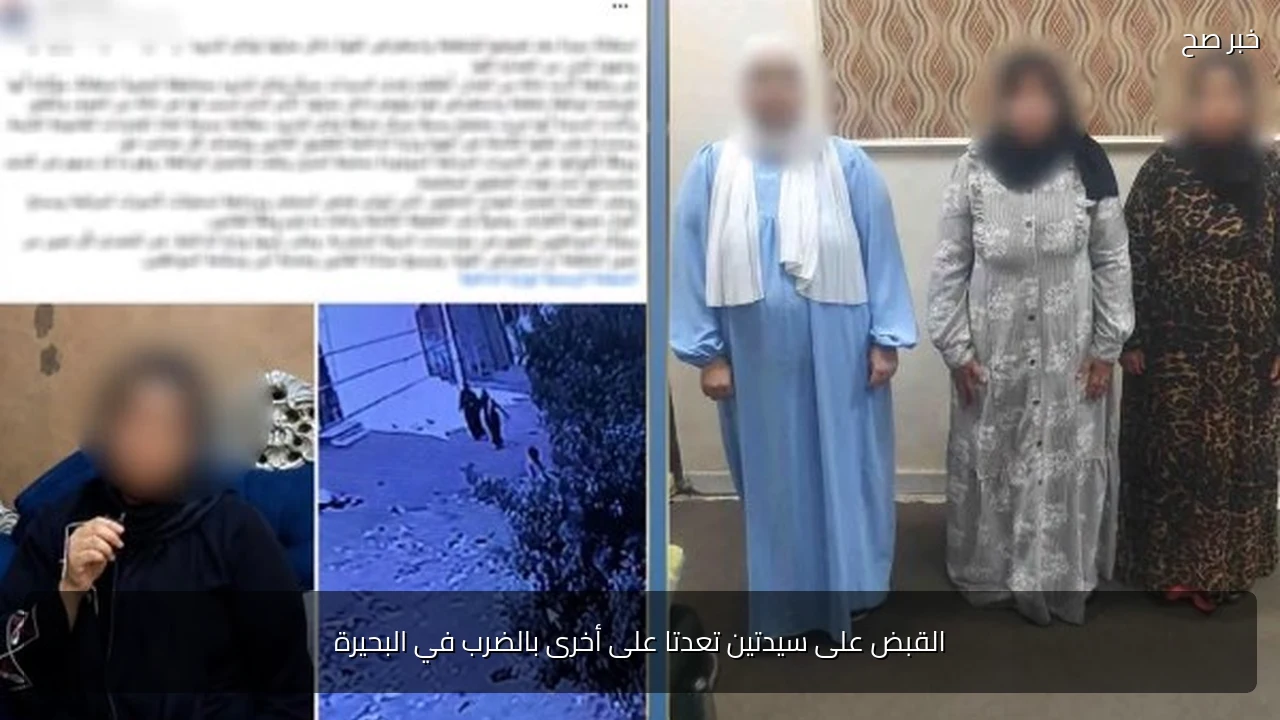 القبض على سيدتين تعدتا على أخرى بالضرب في البحيرة