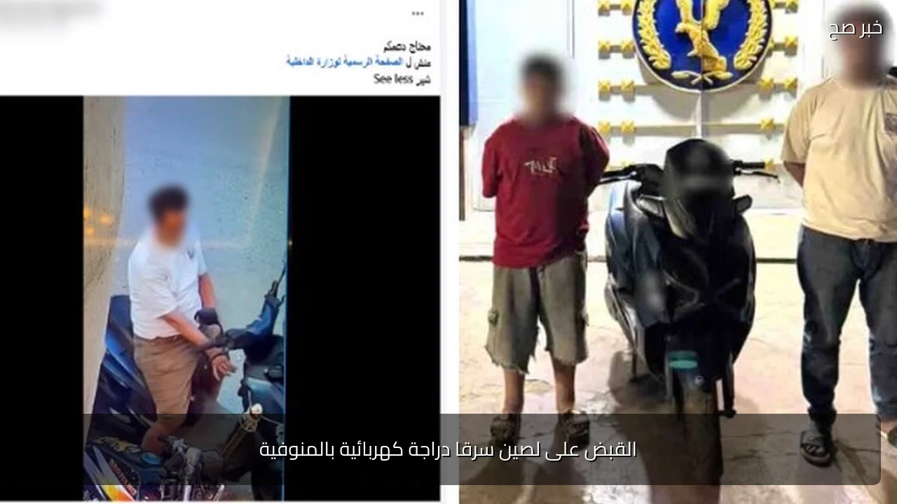القبض على لصين سرقا دراجة كهربائية بالمنوفية
