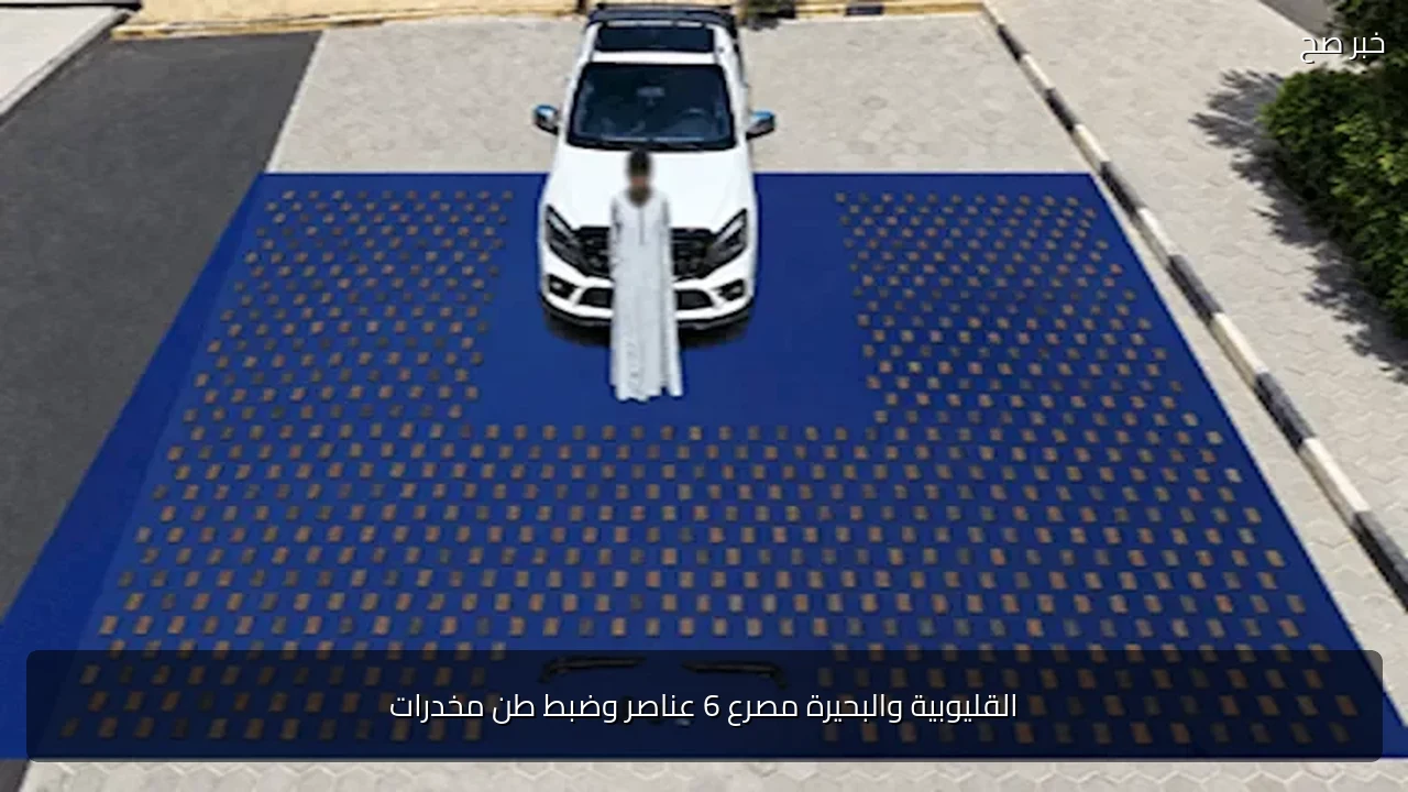 القليوبية والبحيرة مصرع 6 عناصر وضبط طن مخدرات