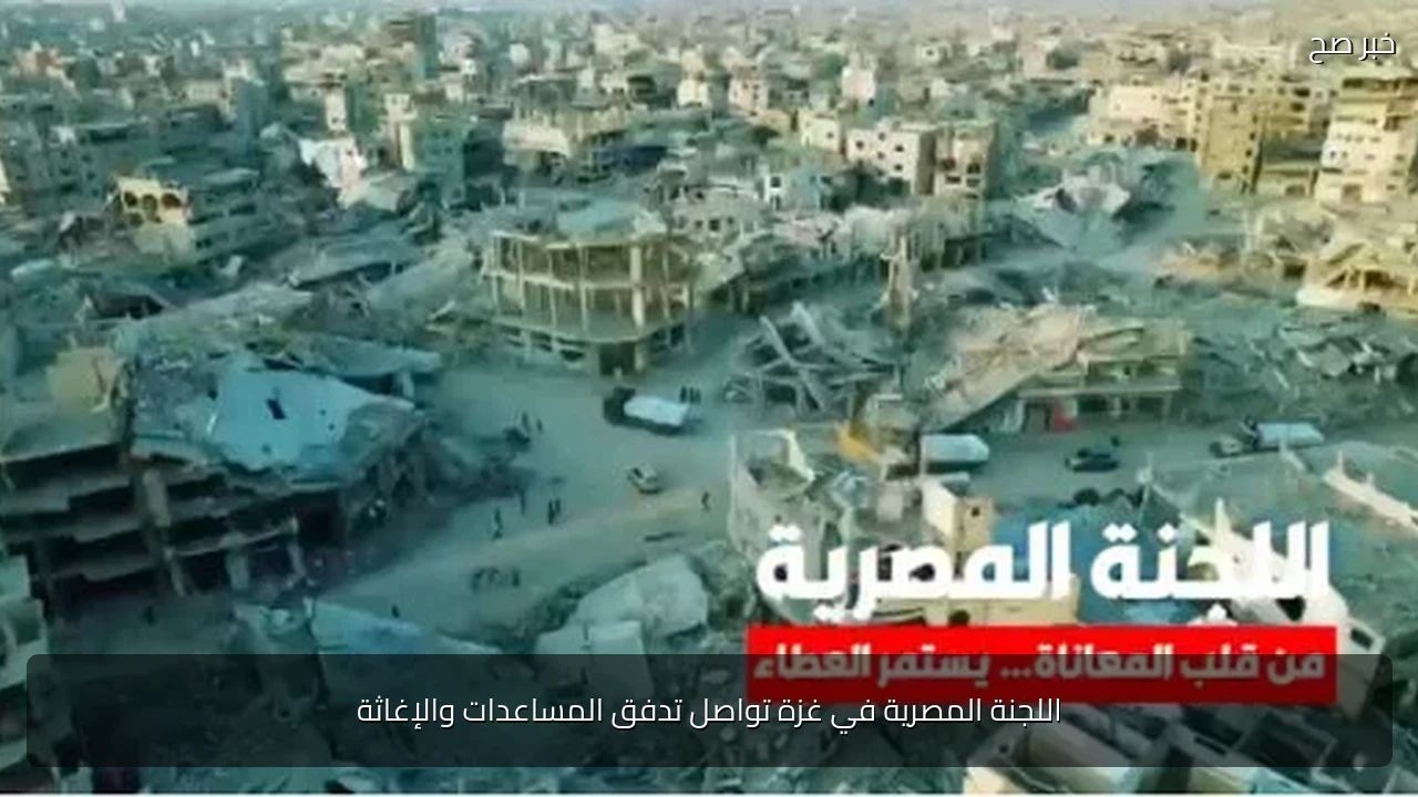اللجنة المصرية في غزة تواصل تدفق المساعدات والإغاثة