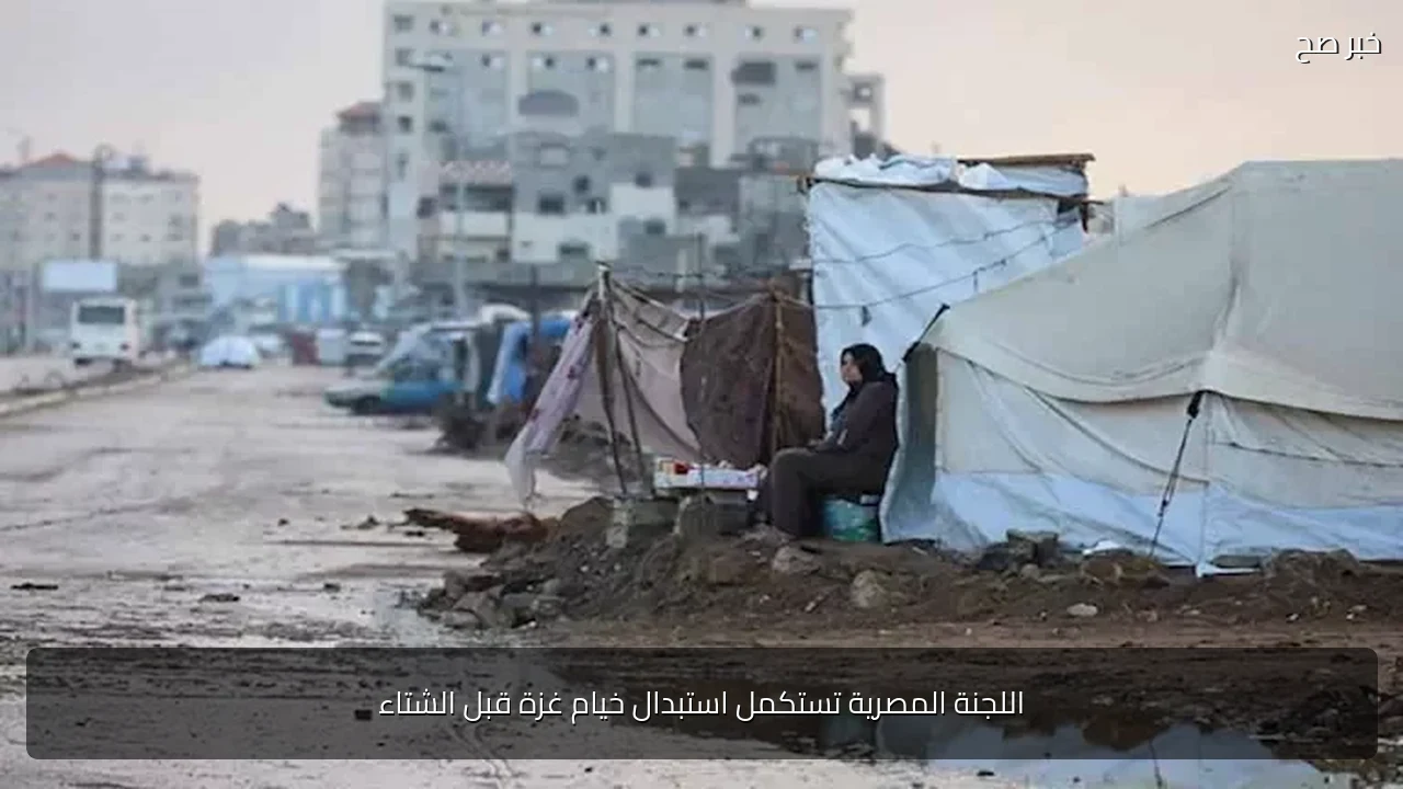 اللجنة المصرية تستكمل استبدال خيام غزة قبل الشتاء