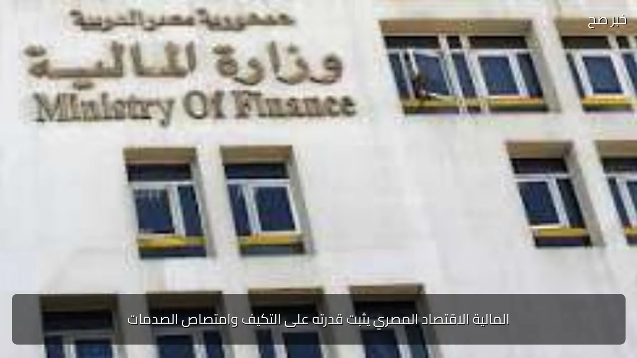 المالية الاقتصاد المصري يثبت قدرته على التكيف وامتصاص الصدمات