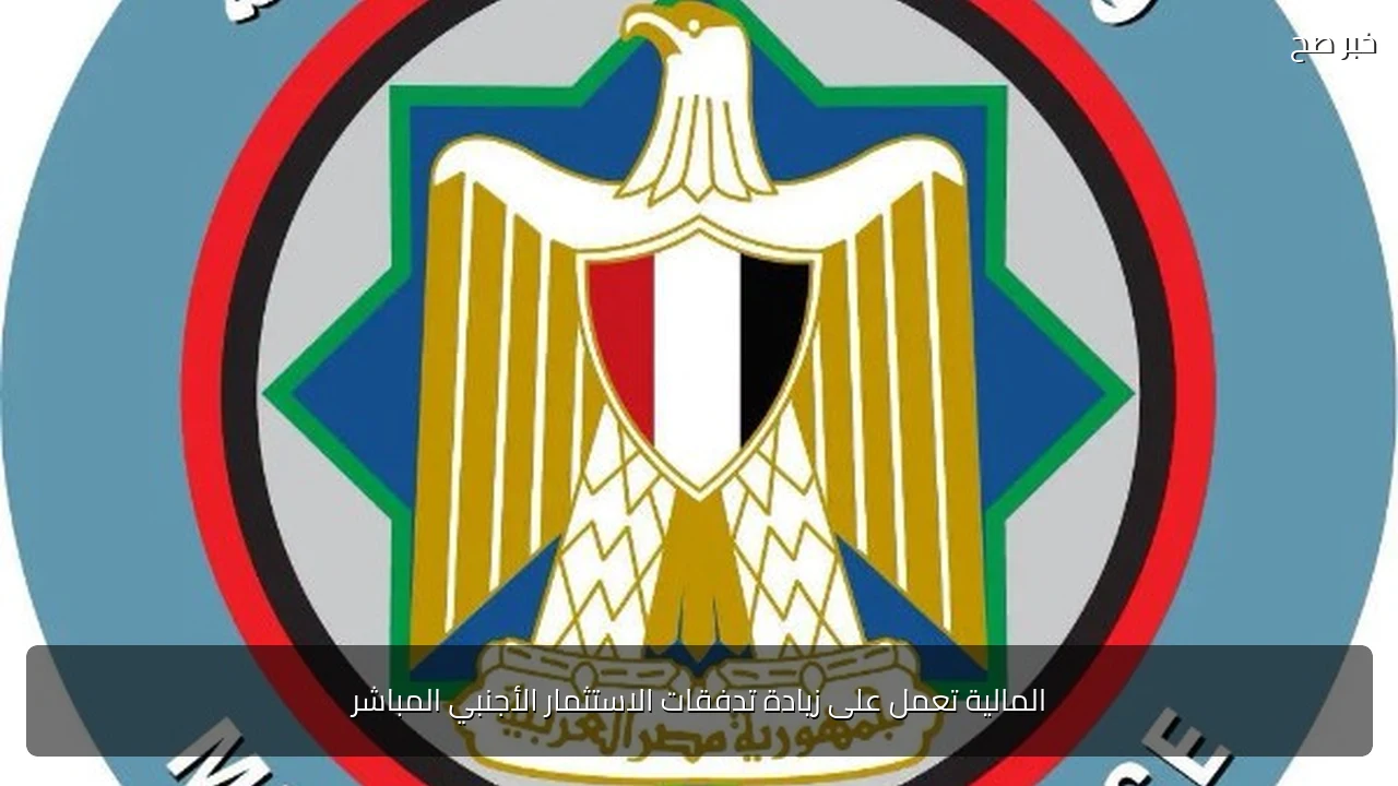 المالية تعمل على زيادة تدفقات الاستثمار الأجنبي المباشر