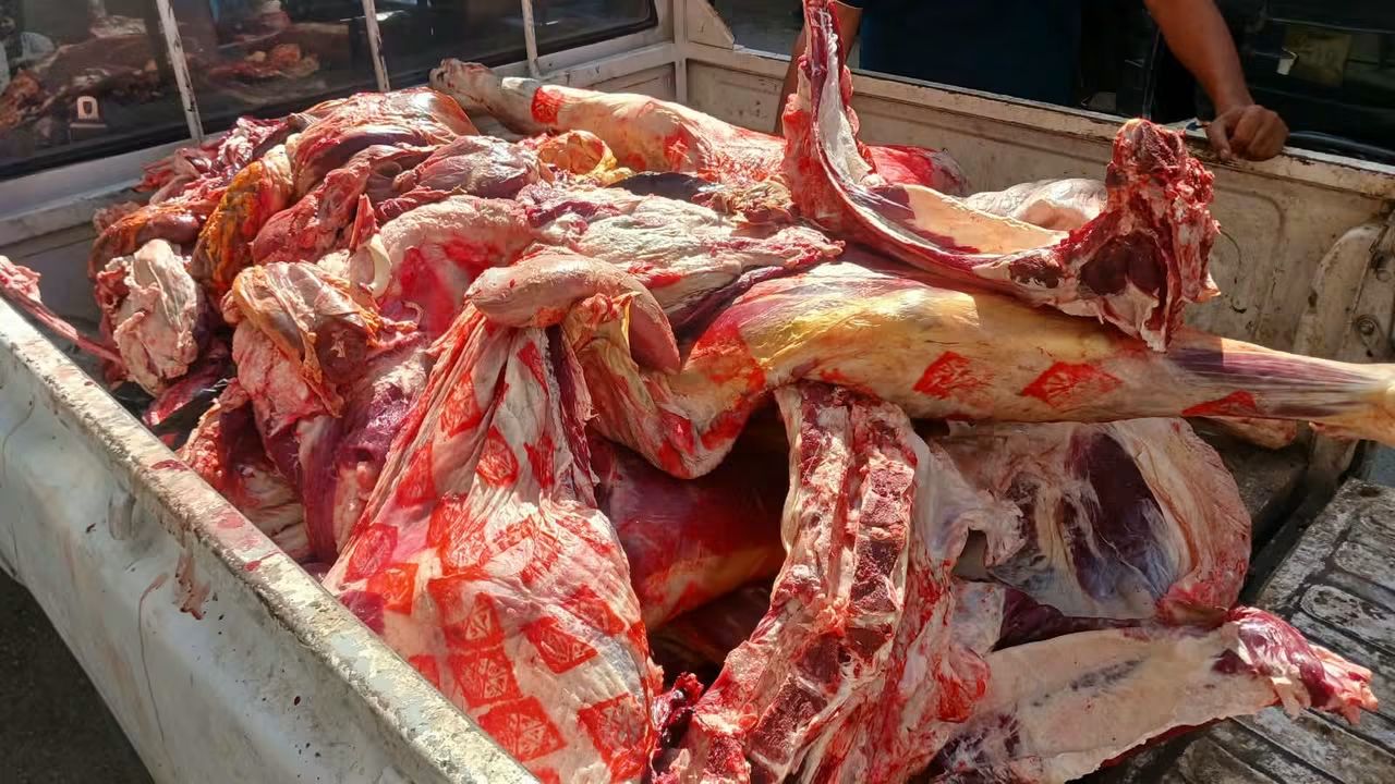 المنوفية ضبط نصف طن لحوم غير صالحة للاستهلاك بقويسنا المنوفية ضبط نصف طن لحوم غير صالحة للاستهلاك بقويسنا