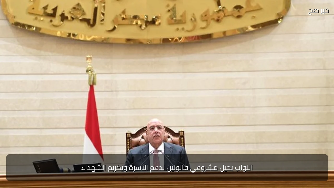 النواب يحيل مشروعي قانونين لدعم الأسرة وتكريم الشهداء
