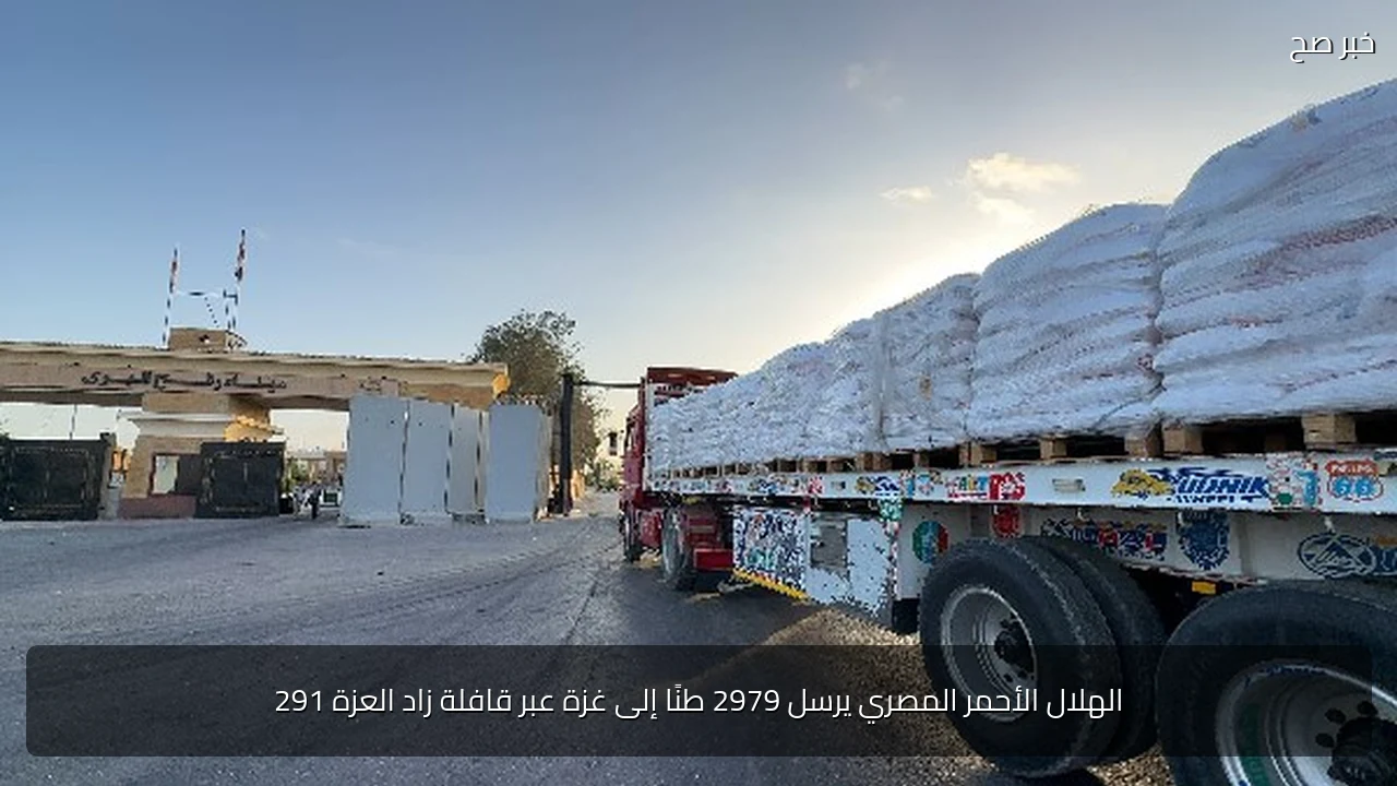 الهلال الأحمر المصري يرسل 2979 طنًا إلى غزة عبر قافلة زاد العزة 291