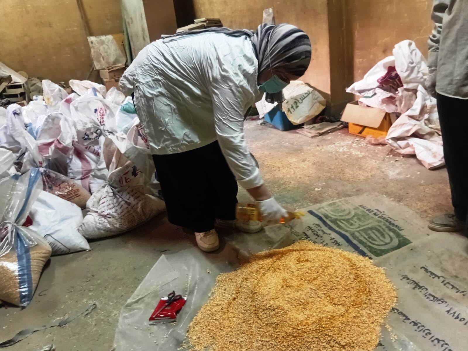 سوهاج تطلق الحملة القومية لمكافحة القوارض بعد المحاصيل الصيفية سوهاج تطلق الحملة القومية لمكافحة القوارض بعد المحاصيل الصيفية