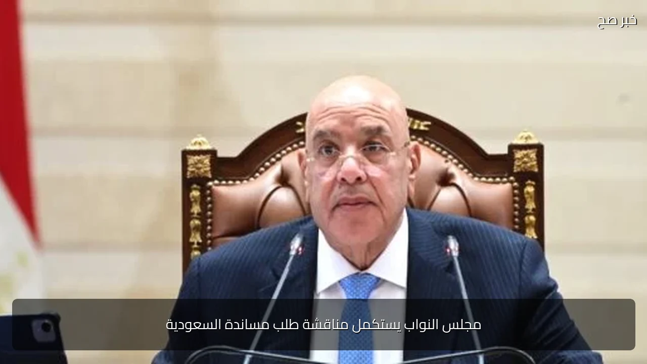 مجلس النواب يستكمل مناقشة طلب مساندة السعودية