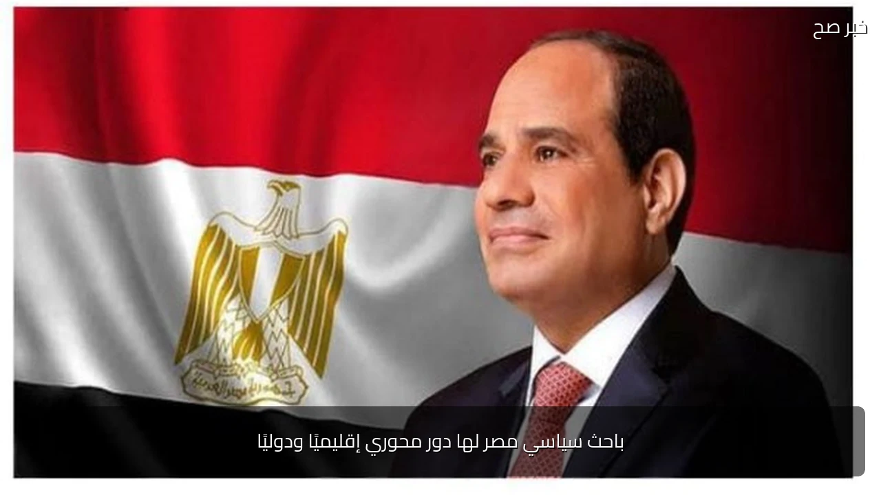 باحث سياسي مصر لها دور محوري إقليميًا ودوليًا