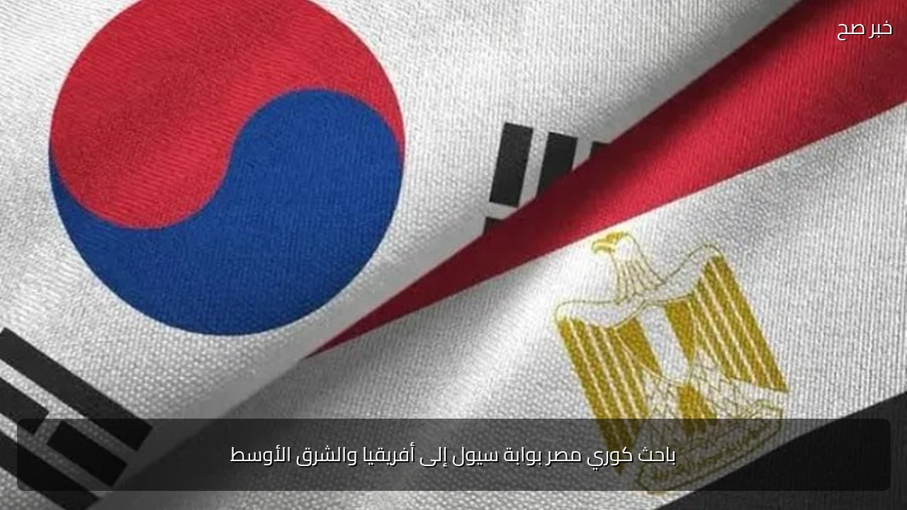 باحث كوري مصر بوابة سيول إلى أفريقيا والشرق الأوسط