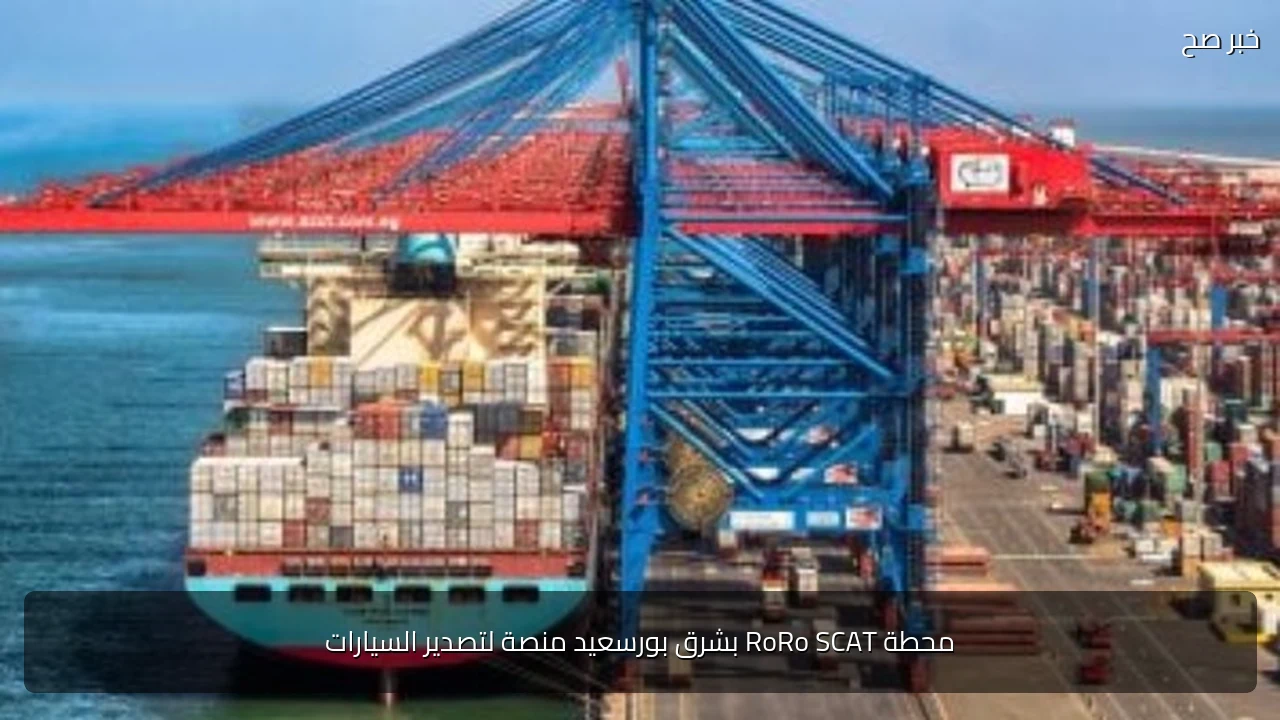 محطة RoRo SCAT بشرق بورسعيد منصة لتصدير السيارات