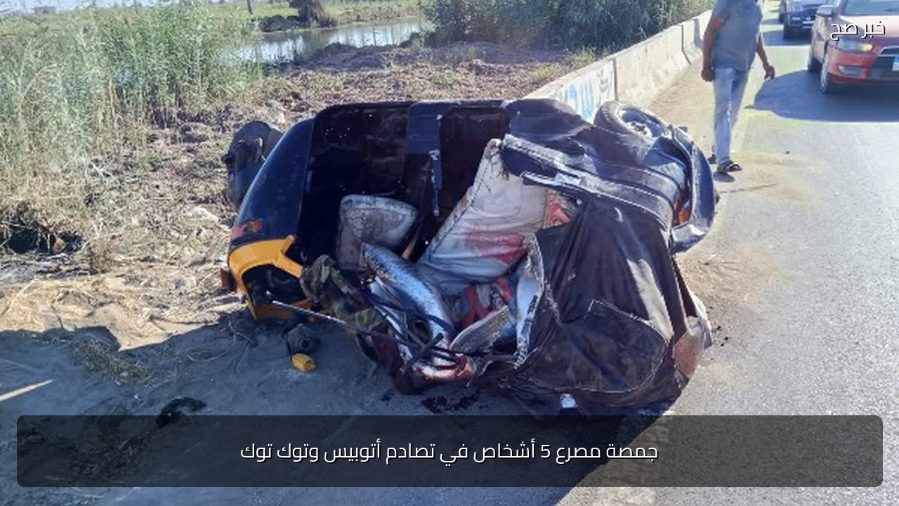 جمصة مصرع 5 أشخاص في تصادم أتوبيس وتوك توك