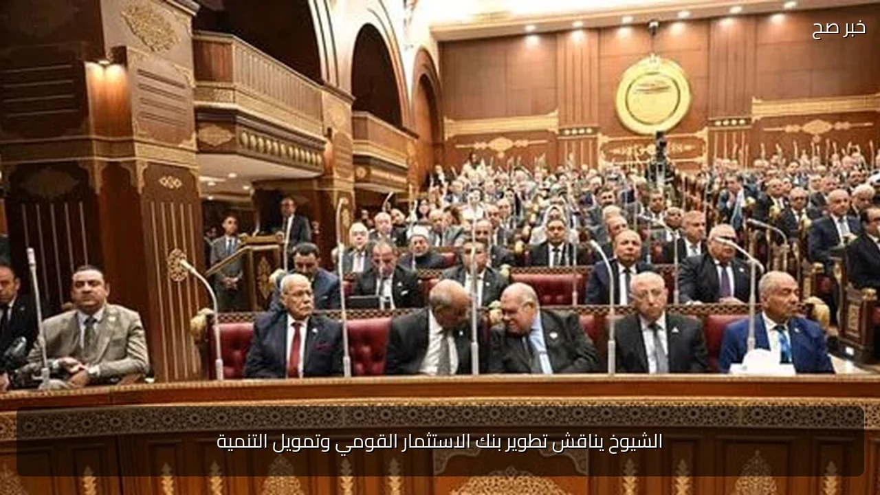 الشيوخ يناقش تطوير بنك الاستثمار القومي وتمويل التنمية
