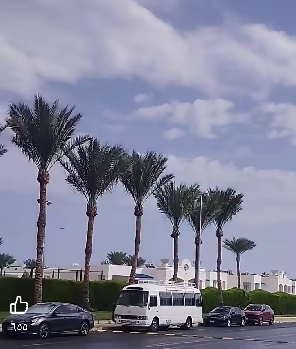 برق ورعد وأمطار بشرم الشيخ ومحافظ جنوب سيناء يرفع الاستعداد برق ورعد وأمطار بشرم الشيخ ومحافظ جنوب سيناء يرفع الاستعداد