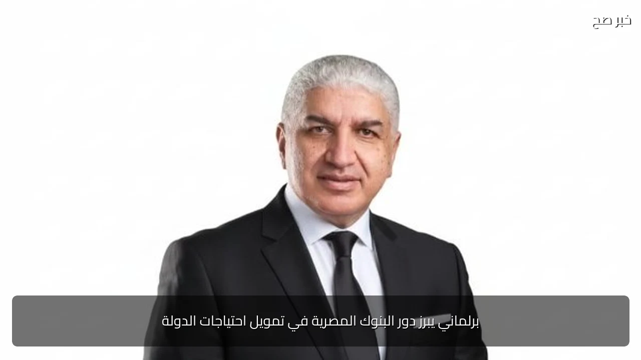 برلماني يبرز دور البنوك المصرية في تمويل احتياجات الدولة
