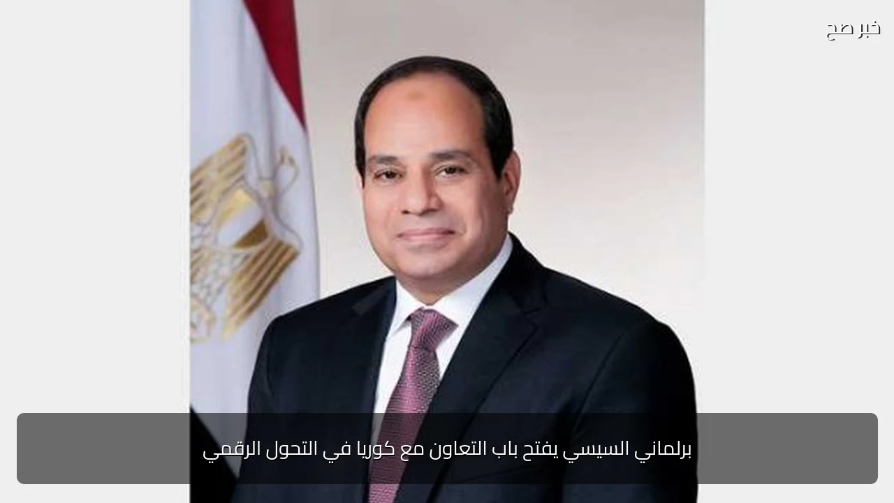 برلماني السيسي يفتح باب التعاون مع كوريا في التحول الرقمي