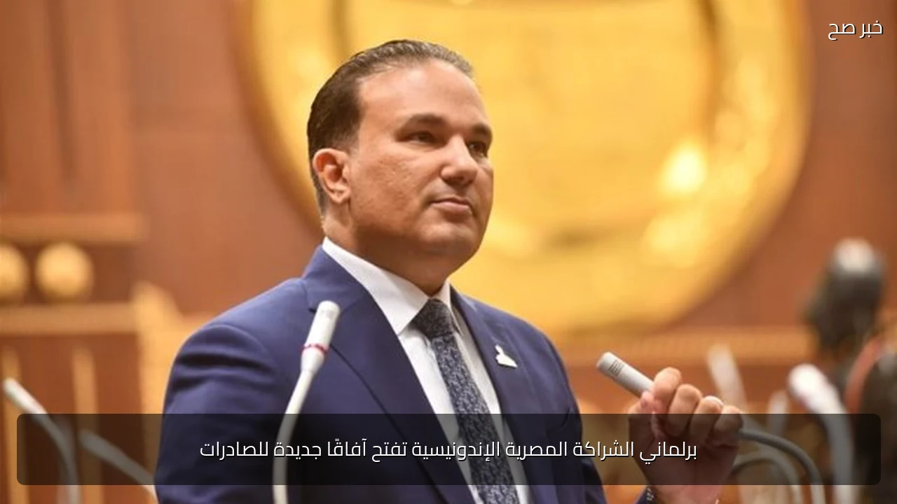 برلماني الشراكة المصرية الإندونيسية تفتح آفاقًا جديدة للصادرات