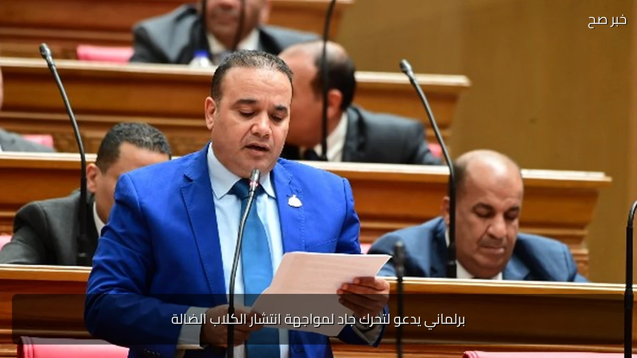 برلماني يدعو لتحرك جاد لمواجهة انتشار الكلاب الضالة