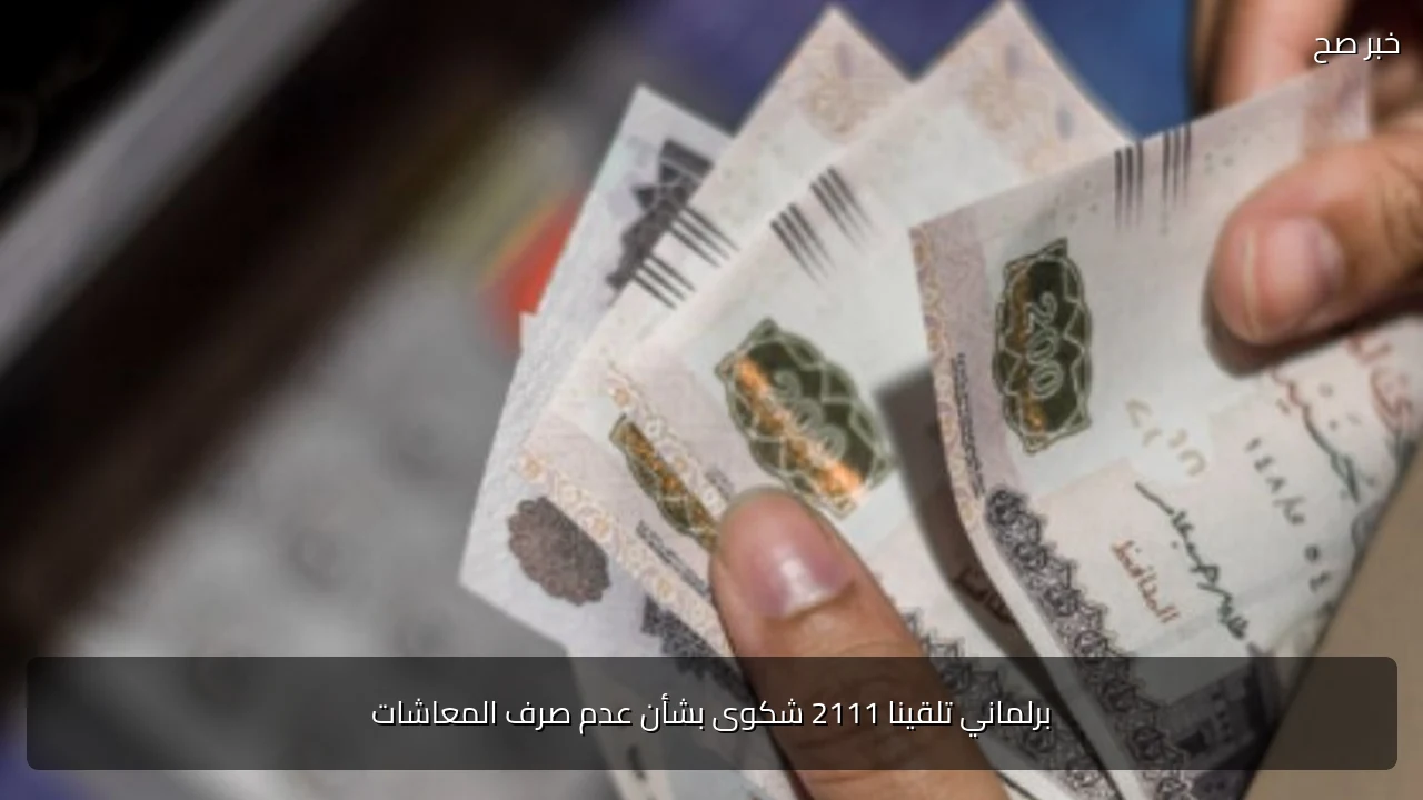 برلماني تلقينا 2111 شكوى بشأن عدم صرف المعاشات