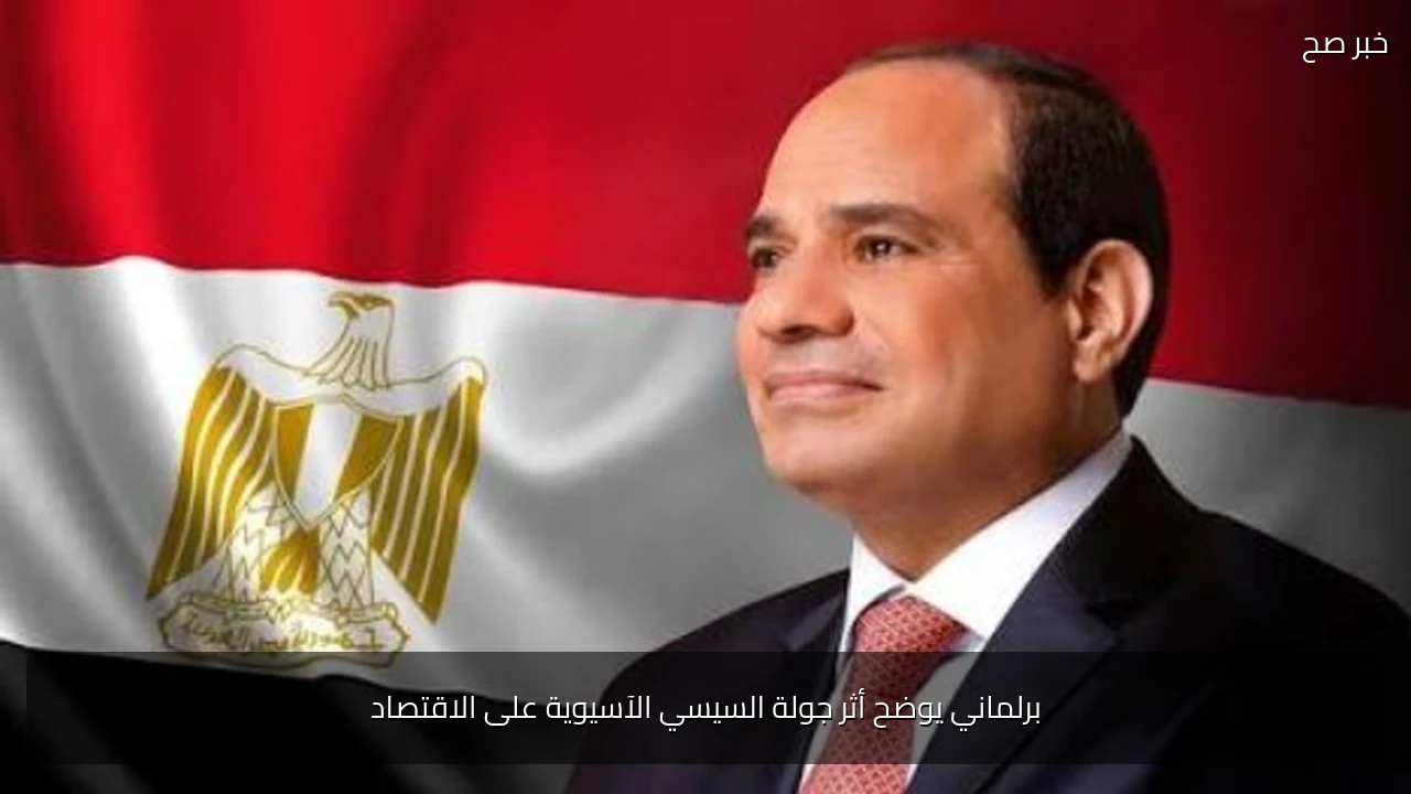 برلماني يوضح أثر جولة السيسي الآسيوية على الاقتصاد