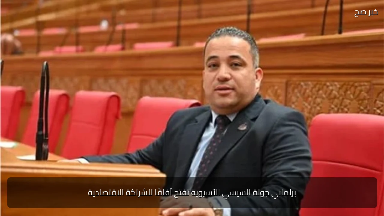 برلماني جولة السيسي الآسيوية تفتح آفاقًا للشراكة الاقتصادية