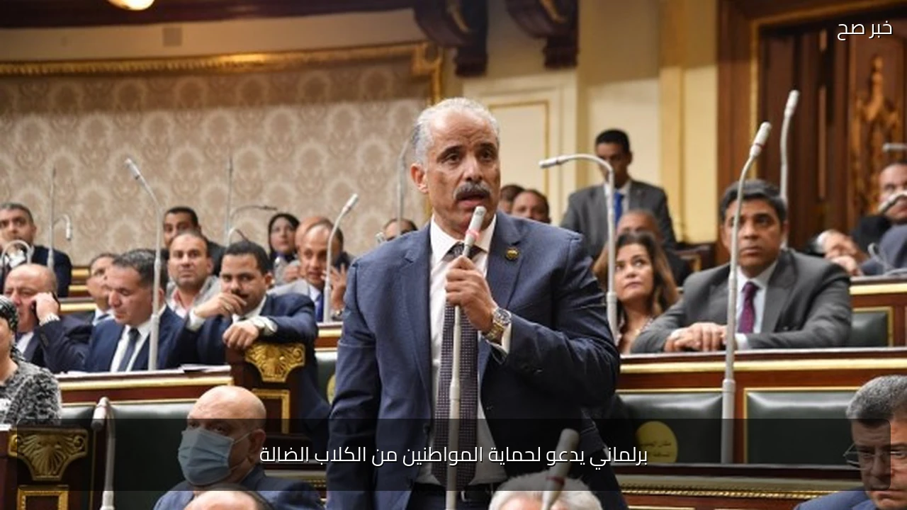 برلماني يدعو لحماية المواطنين من الكلاب الضالة