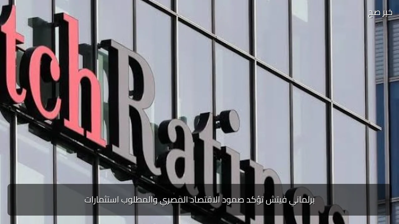 برلماني فيتش تؤكد صمود الاقتصاد المصري والمطلوب استثمارات