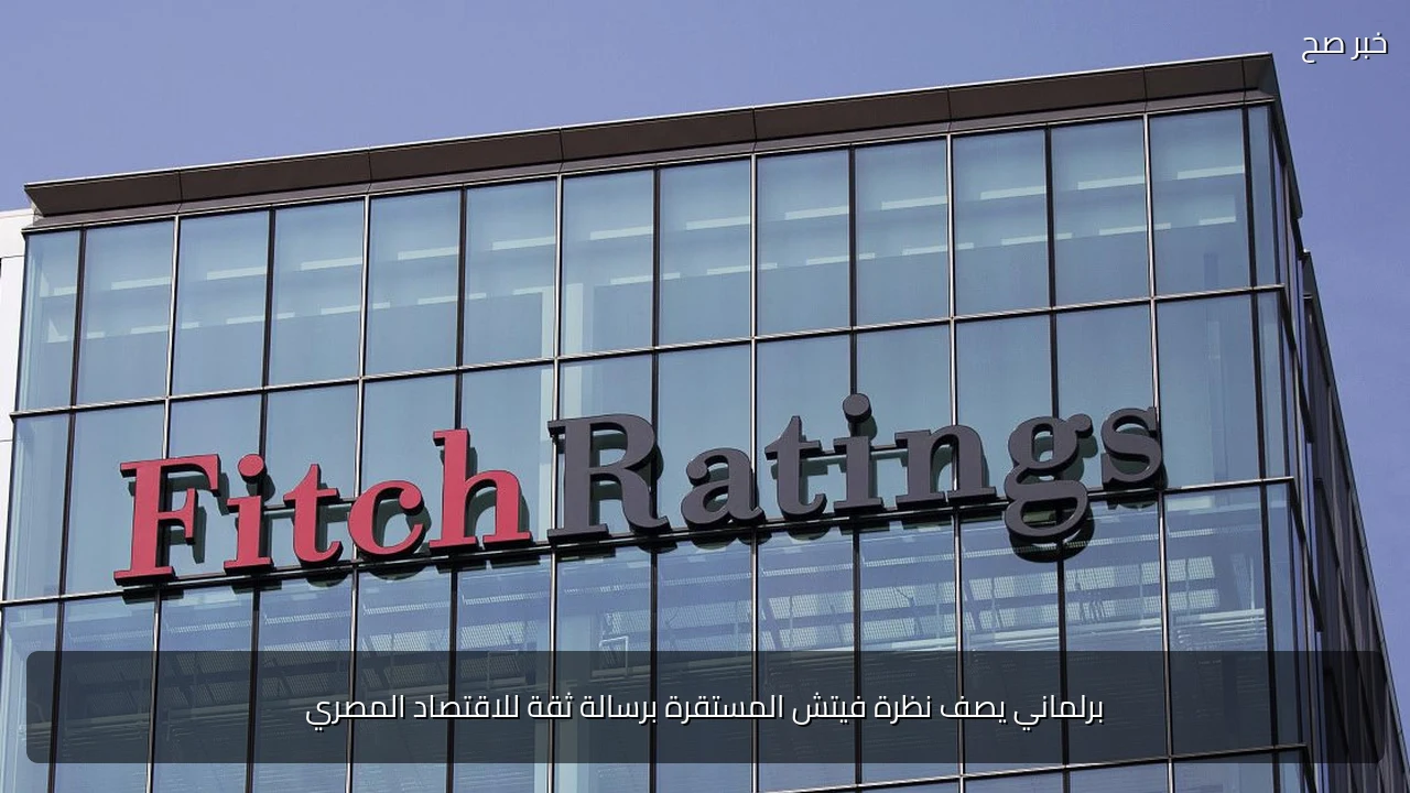 برلماني يصف نظرة فيتش المستقرة برسالة ثقة للاقتصاد المصري