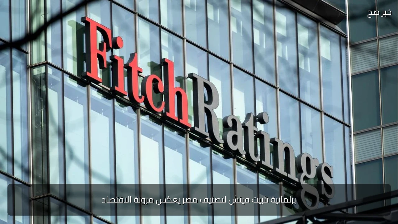 برلمانية تثبيت فيتش لتصنيف مصر يعكس مرونة الاقتصاد