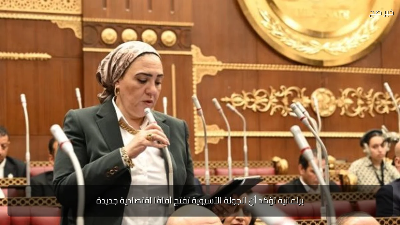 برلمانية تؤكد أن الجولة الآسيوية تفتح آفاقًا اقتصادية جديدة