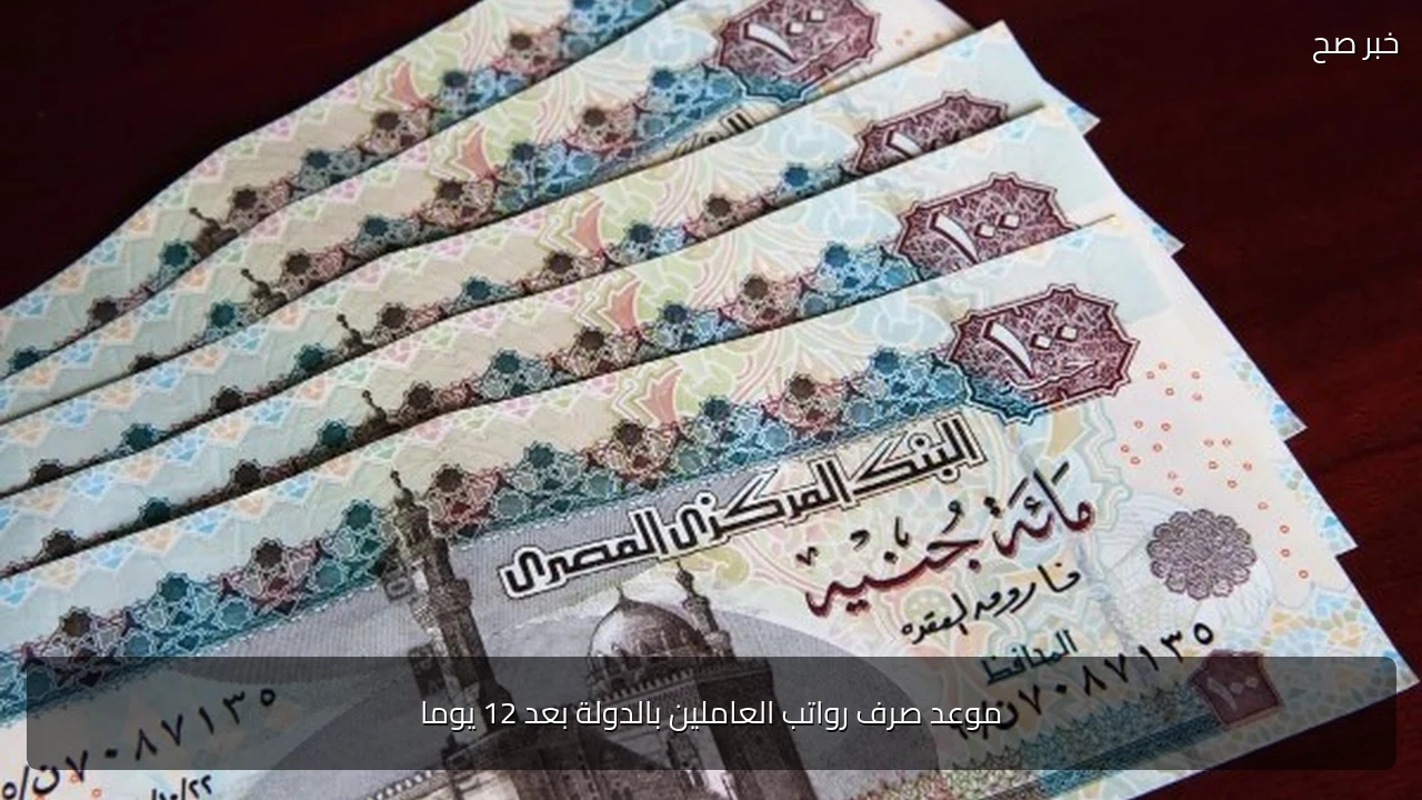 موعد صرف رواتب العاملين بالدولة بعد 12 يوما