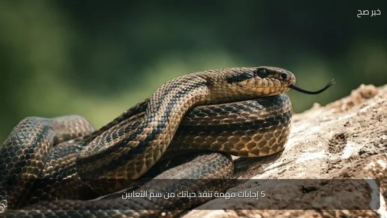 5 إجابات مهمة تنقذ حياتك من سم الثعابين